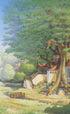 Велика книга кролячих історій